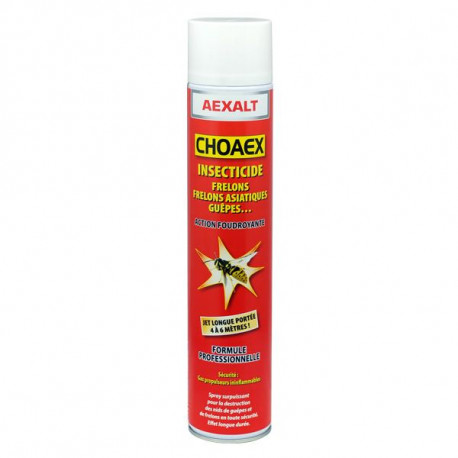 Aérosol insectiside professionnel CHOAEX 750ml