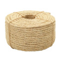 Corde corseine diam 10