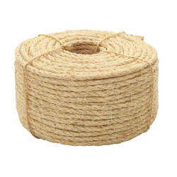 Corde corseine diam 10