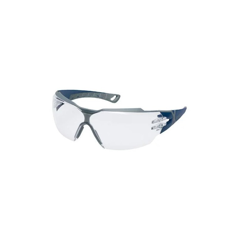 Lunettes uvex pheos CX2