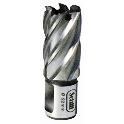 Fraise HSS D12mm weldon 19 prof 30mm