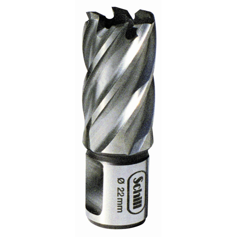 Fraise HSS D12mm weldon 19 prof 30mm