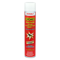 Aérosol insectiside professionnel CHOAEX 750ml