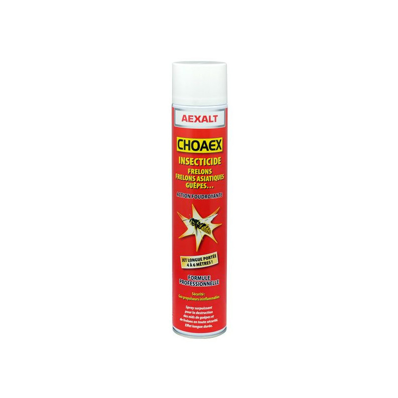 Aérosol insectiside professionnel CHOAEX 750ml