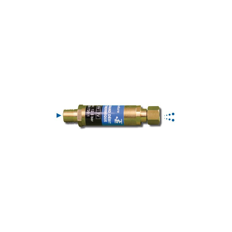 Anti retour oxygene chalumeau grand débit 16x150