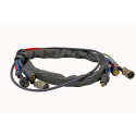 Faisceau 10M 14 broches PHOENIX