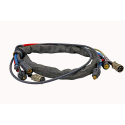 Faisceau 10M 14 broches PHOENIX